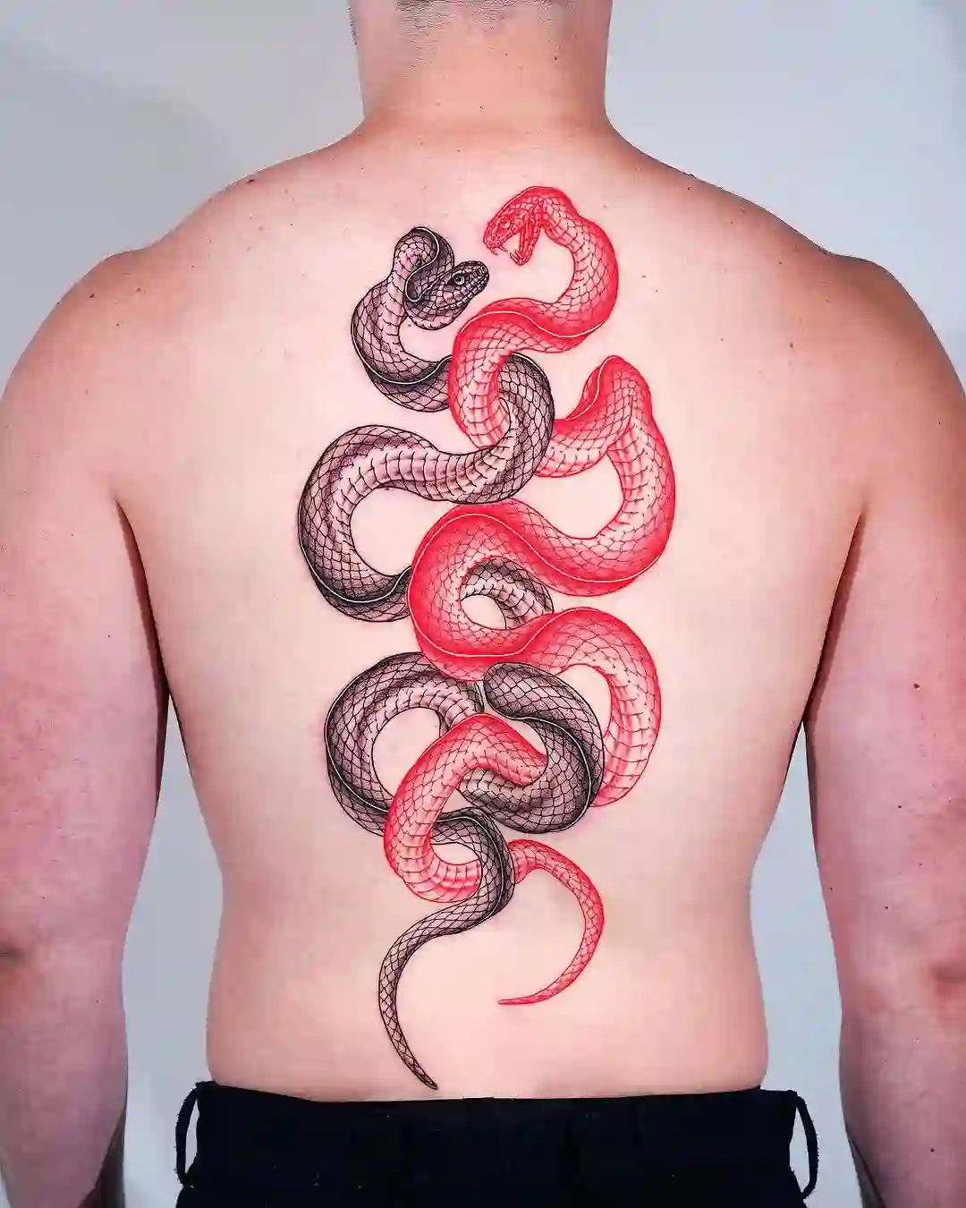 Read more about the article The Serpent’s Tale: Meanings and Designs of Snake Tattoos